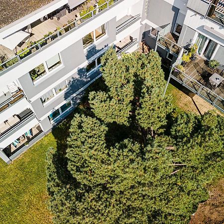 Ferienwohnungen Riese - Weitblick Арнсберг Екстер'єр фото